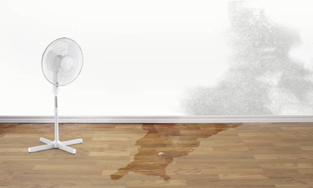 Best Sewage cleanup and water damage restoration  in Fort Washington, PA