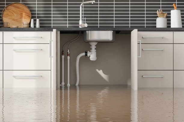 Best Water damage restoration near me  in Fort Washington, PA