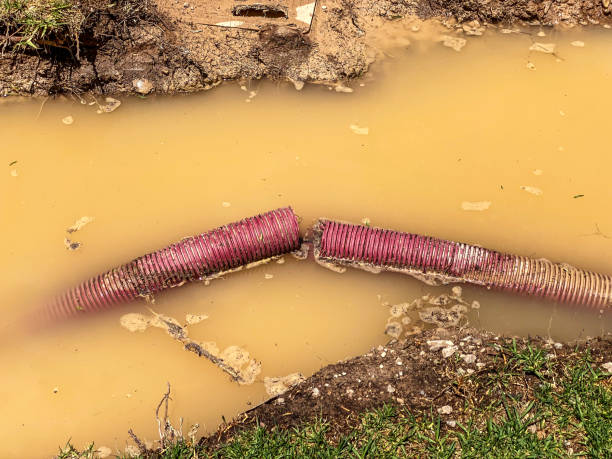 Best Flood restoration services  in Fort Washington, PA